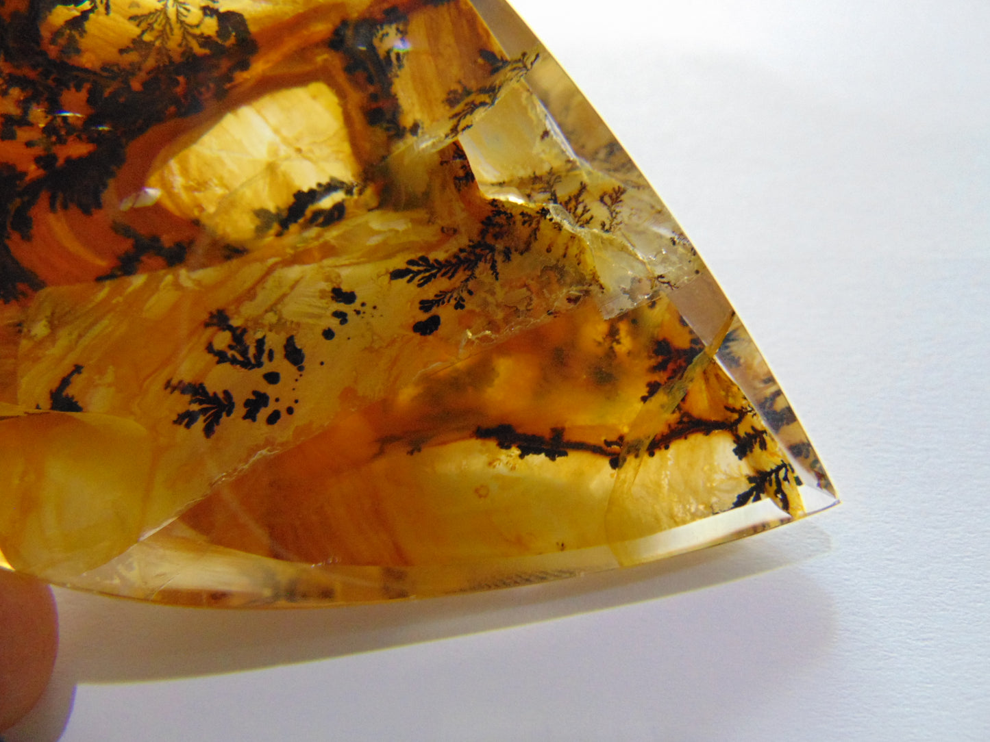 378ct Dendrite