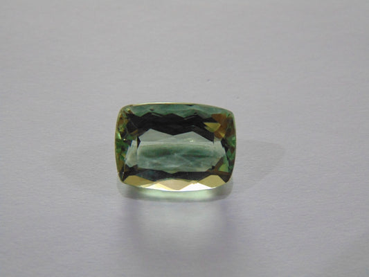 9.30ct Prasiolite