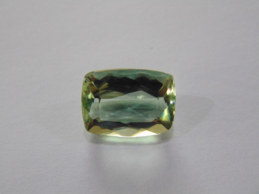 9.30ct Prasiolite