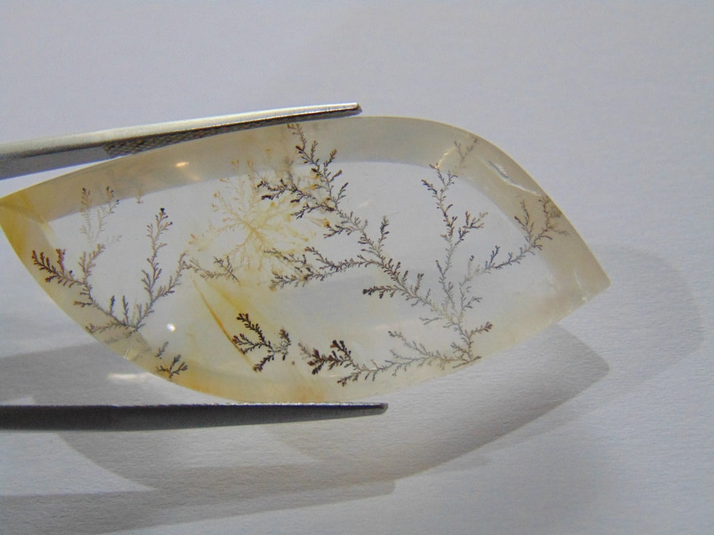 52ct Quartz Dendrite 46x21mm