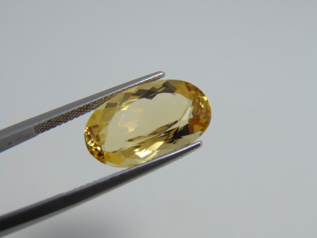 9.20cts Beryl