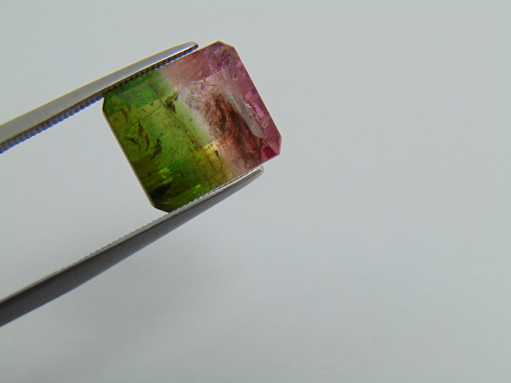 7.70cts Tourmaline (Bicolor)