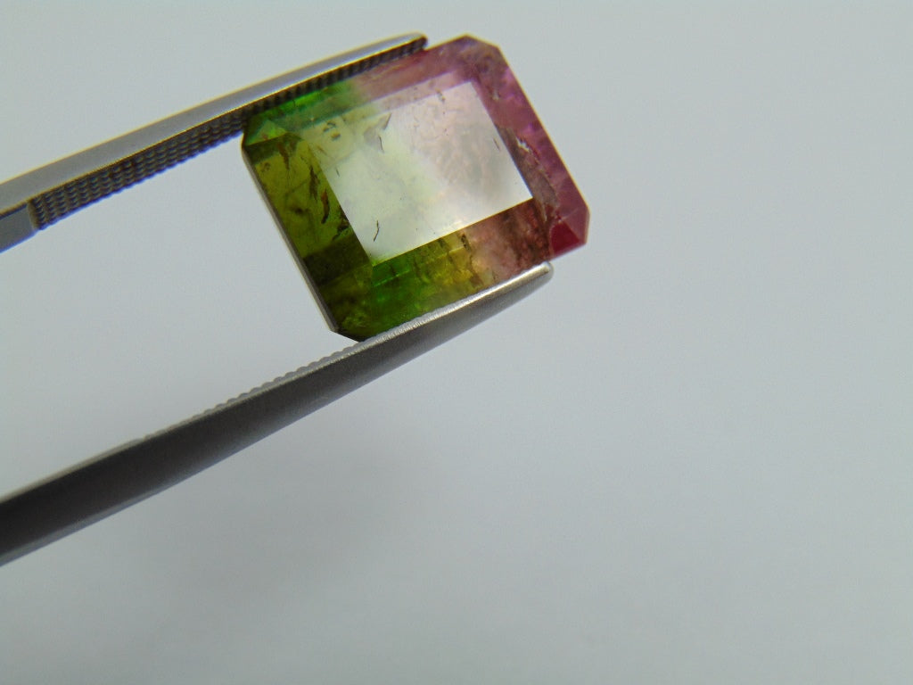 7.70cts Tourmaline (Bicolor)