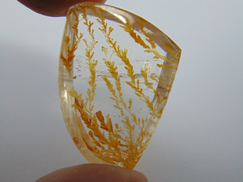 47.40cts Dendrite 30x24mm