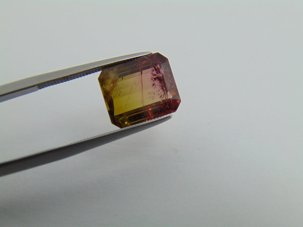 5.55cts Tourmaline (Bicolor)