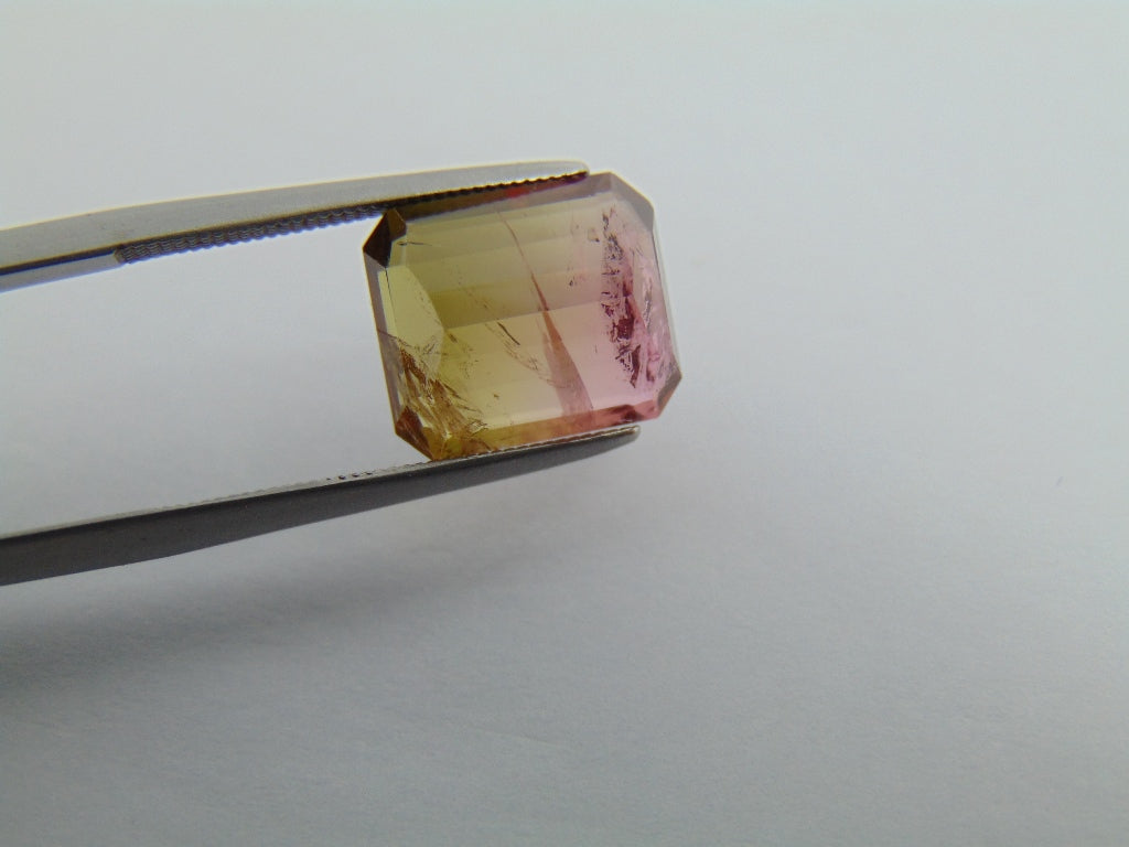 5.55cts Tourmaline (Bicolor)