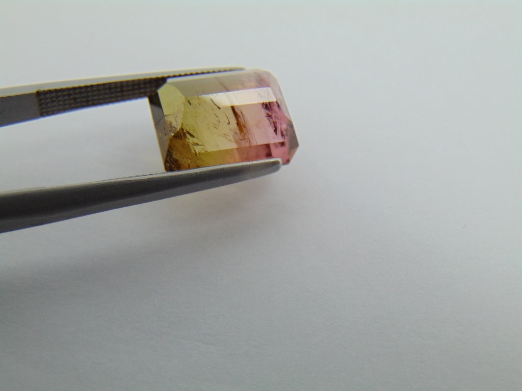 5.55cts Tourmaline (Bicolor)